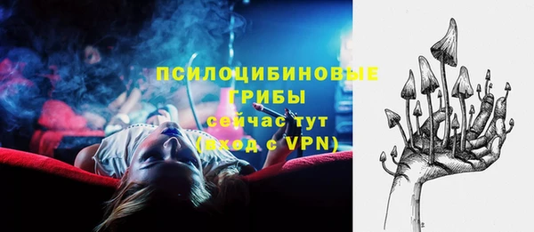 тгк Абаза