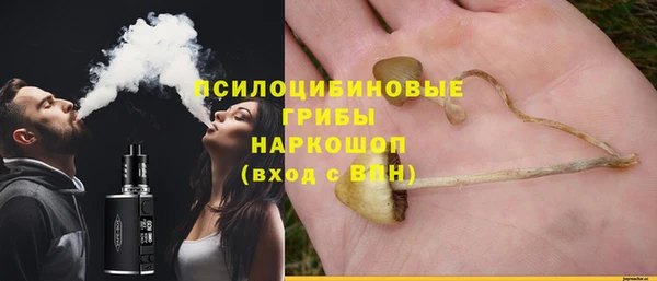 тгк Абаза
