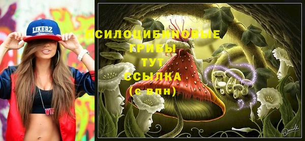 тгк Абаза