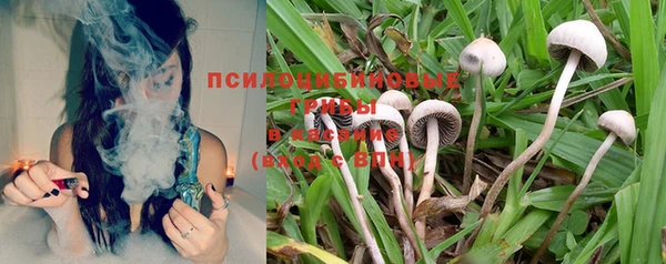 гидропоника Абдулино