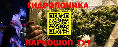 PSILOCYBIN Кинель
