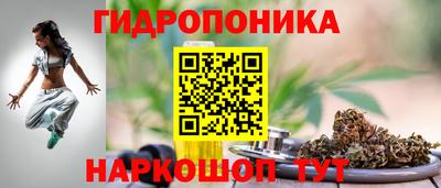 PSILOCYBIN Кинель