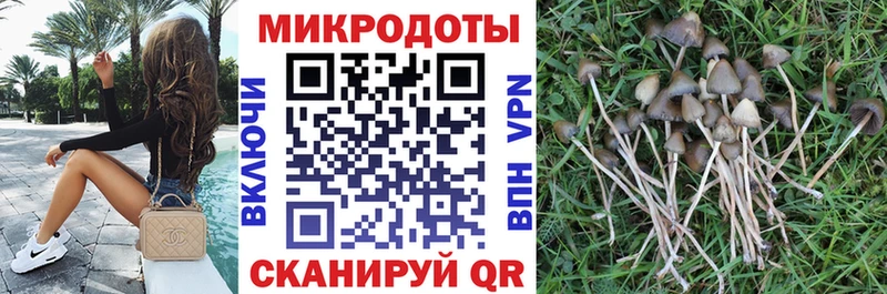 Псилоцибиновые грибы Psilocybe  Таганрог 
