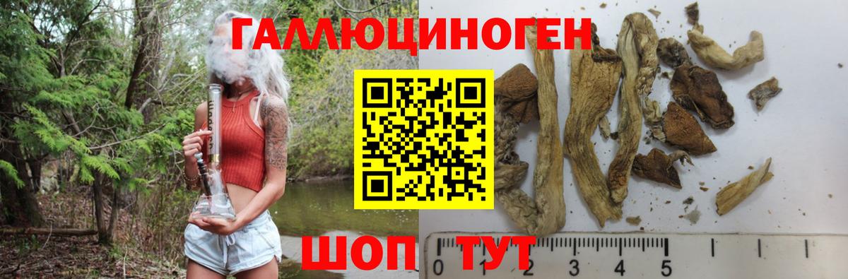 закладка  Галлюциногенные грибы MAGIC MUSHROOMS  Галлюциногенные грибы Magic Shrooms  Вход с VPN  Таганрог 
