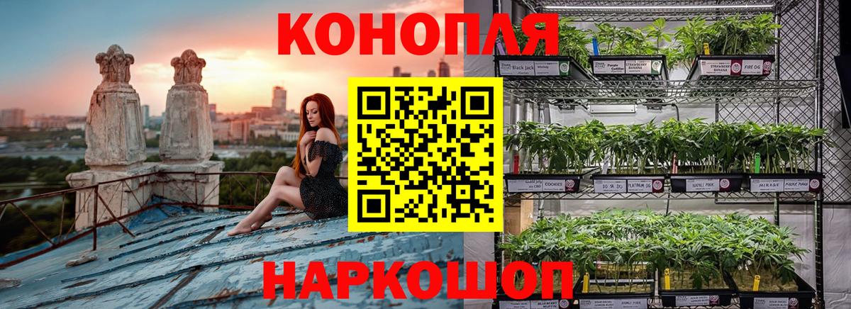 Канабис марихуана  Каннабис гибрид  Канабис MAZAR  Таганрог  Вход с VPN  Конопля сатива 